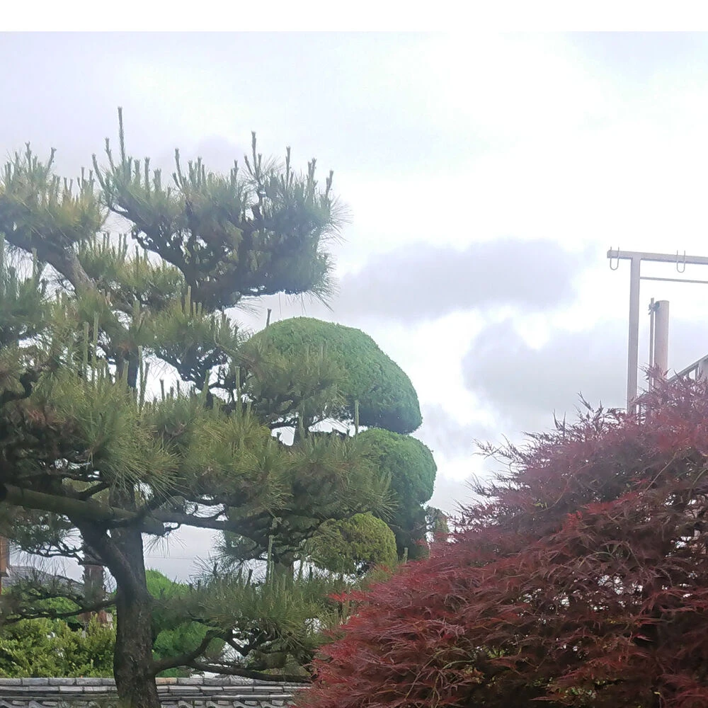 ブログ