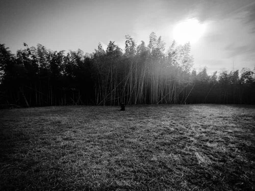 psx_20240106_195250